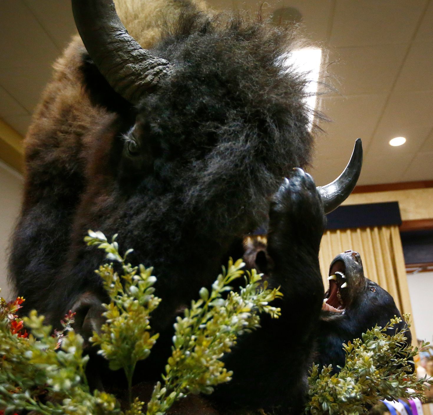 Montana Taxidermists Association Convention and competition